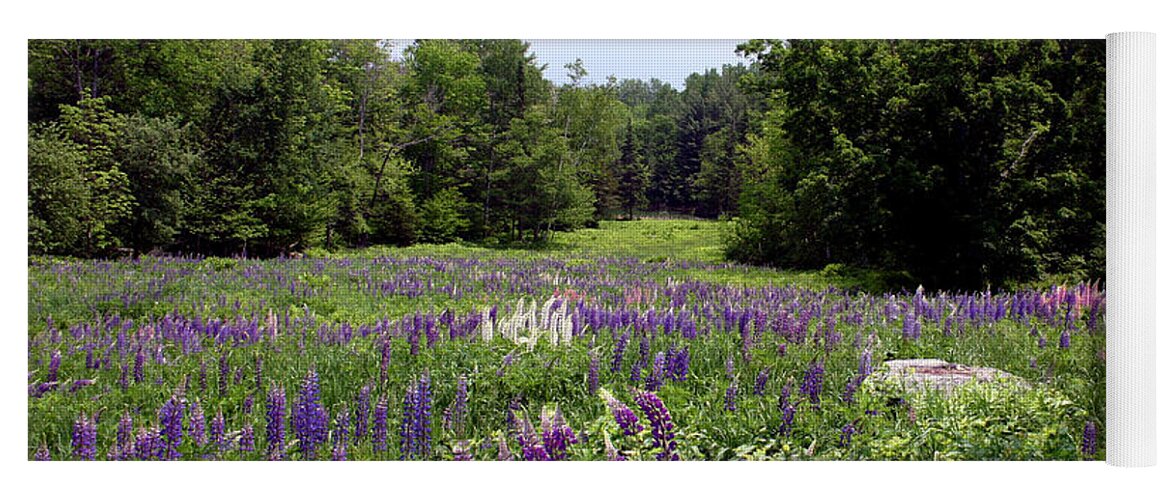 Lupine Yoga Mat featuring the photograph Lupine Vale by Wayne King