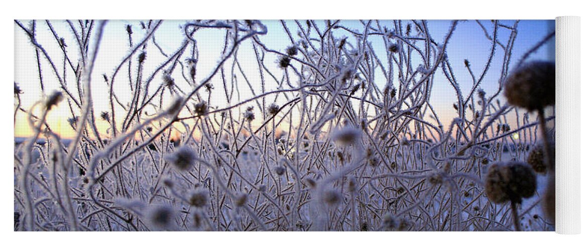 Frost Yoga Mat featuring the photograph Magic Winter Morning by Ellen Heaverlo