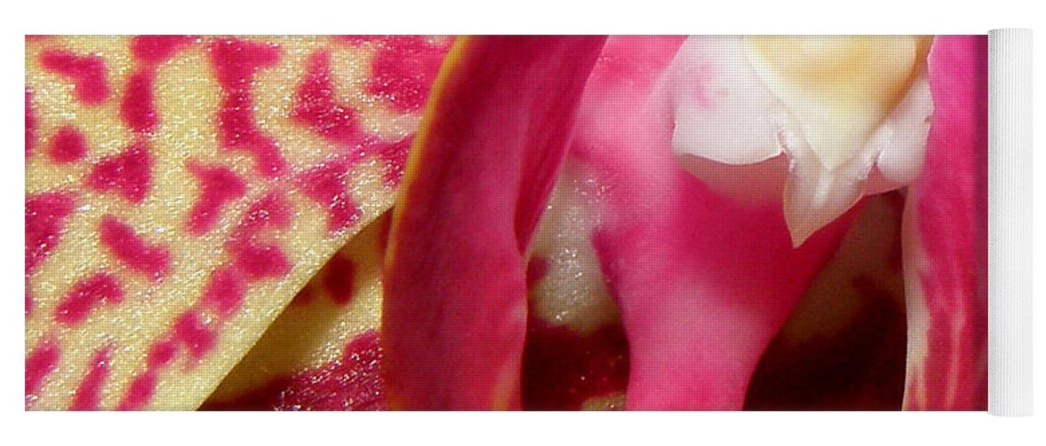 Orchid Yoga Mat featuring the photograph Magical Beauty by Kim Galluzzo Wozniak