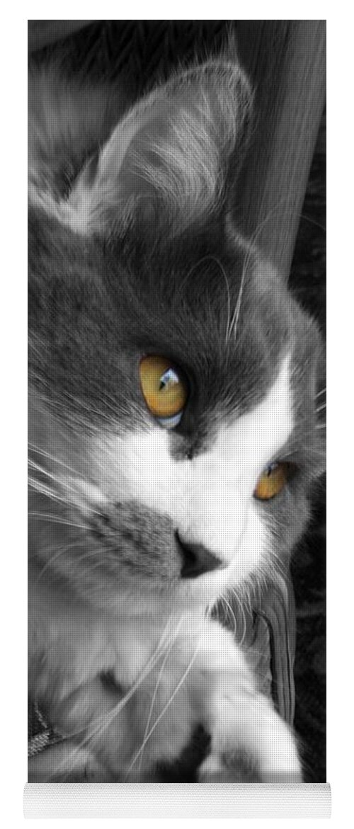 Cat Photograph Yoga Mat featuring the photograph Misty by Ann Bridges
