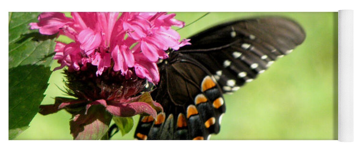 Butterfly Yoga Mat featuring the photograph Monarch on a Monarda by Kim Galluzzo