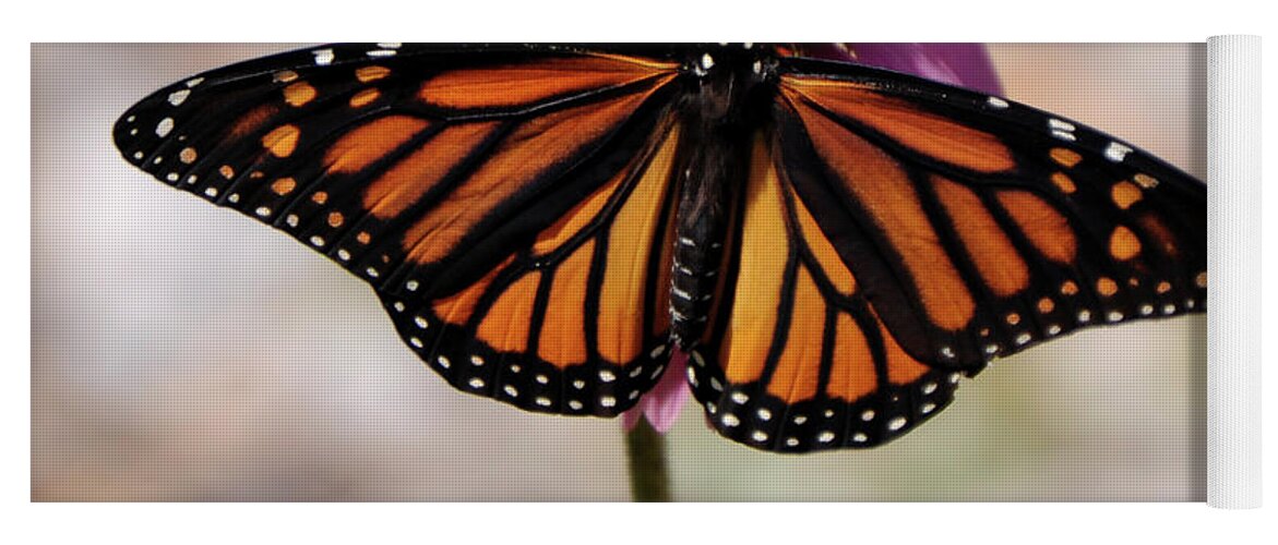 Monarch Yoga Mat featuring the photograph Monarch by Ronald Grogan