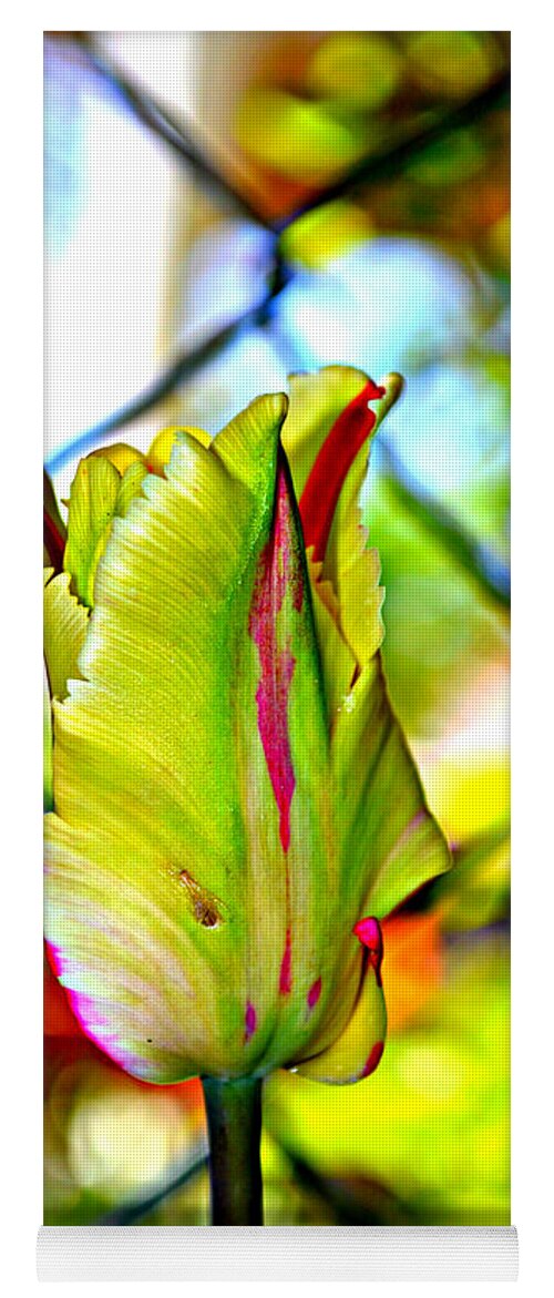 Parrot Tulip Yoga Mat featuring the photograph Mood Swing by Diane montana Jansson
