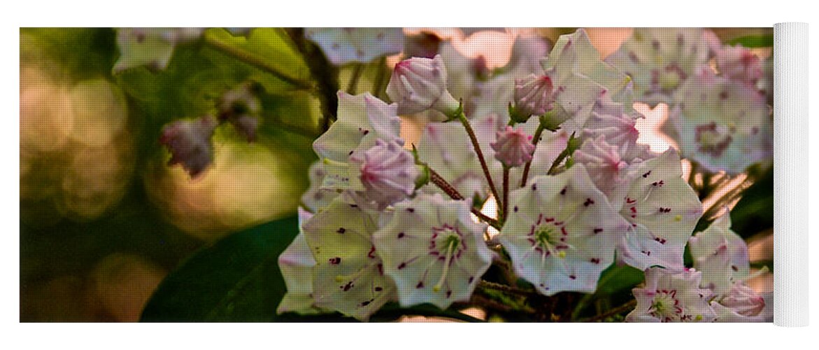 Mountain Laurel Flowers Yoga Mat featuring the photograph Mountain Laurel Flowers 2 by Mark Dodd