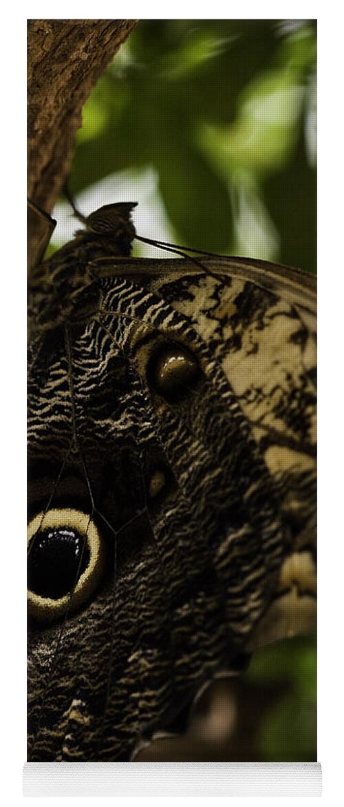 Mournful Owl Yoga Mat featuring the photograph Mournful Owl Butterfly by Perla Copernik