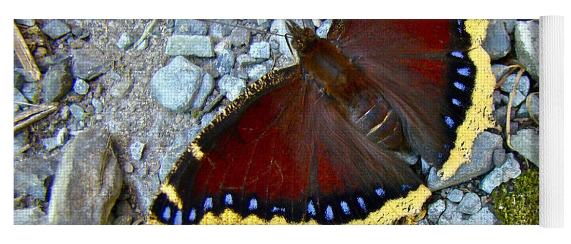Mourning Cloak Yoga Mat featuring the photograph Mourning Cloak Butterfly - Nymphalis antiopa by Carol Senske