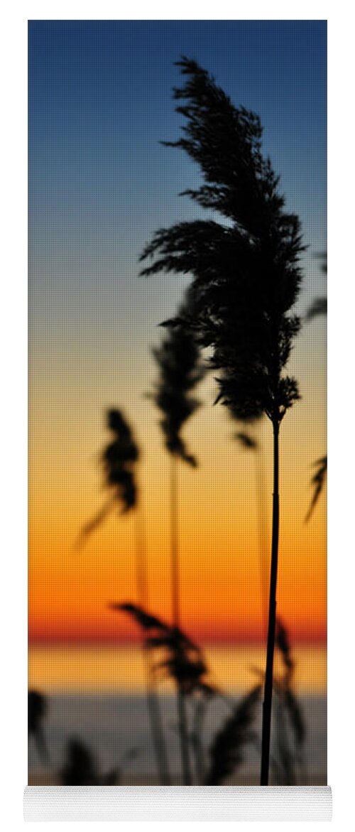 Sunrise Yoga Mat featuring the photograph New Day by Rebecca Sherman