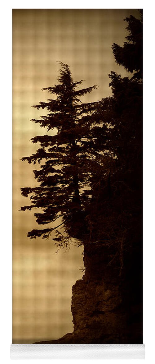 Tree Yoga Mat featuring the photograph On the Edge of the Bluff by Marilyn Wilson