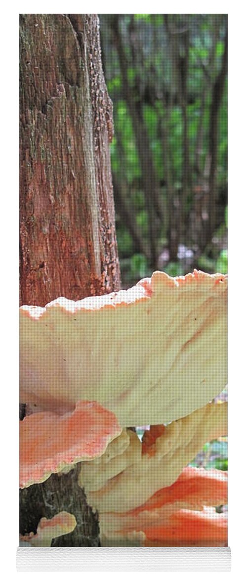  Yoga Mat featuring the photograph Orange Fungi by Michele Nelson