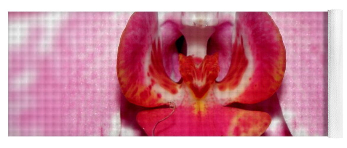 Orchid Yoga Mat featuring the photograph Orchid Glow by Kim Galluzzo