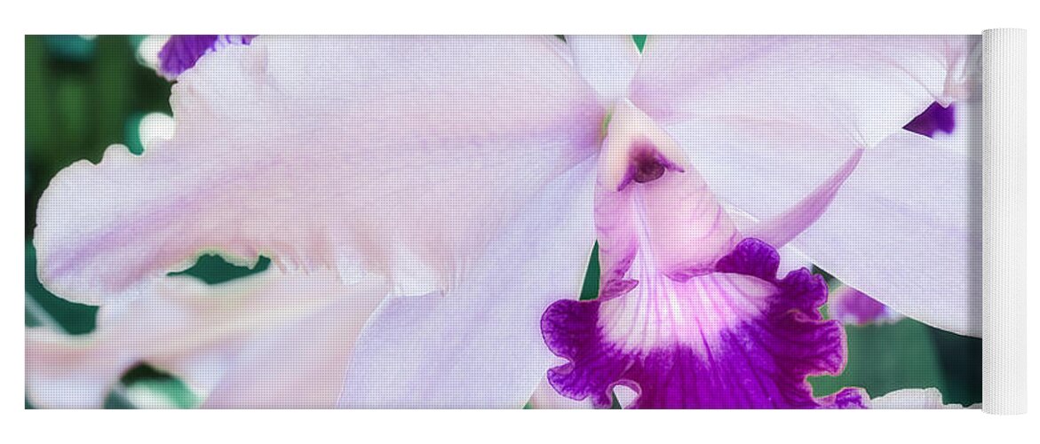 Floral Yoga Mat featuring the photograph Orchids White and Purple by Steven Sparks