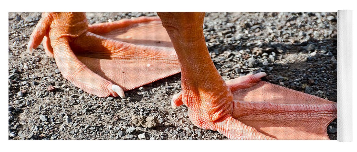 Goose Yoga Mat featuring the photograph Pair of Feet by Yurix Sardinelly