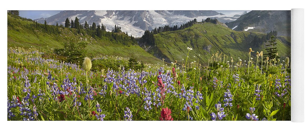 00437809 Yoga Mat featuring the photograph Paradise Meadow And Mount Rainier Mount by Tim Fitzharris