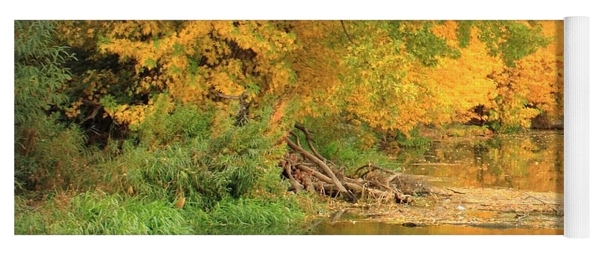 Autumn Yoga Mat featuring the photograph Peaceful Autumn River by Carol Groenen