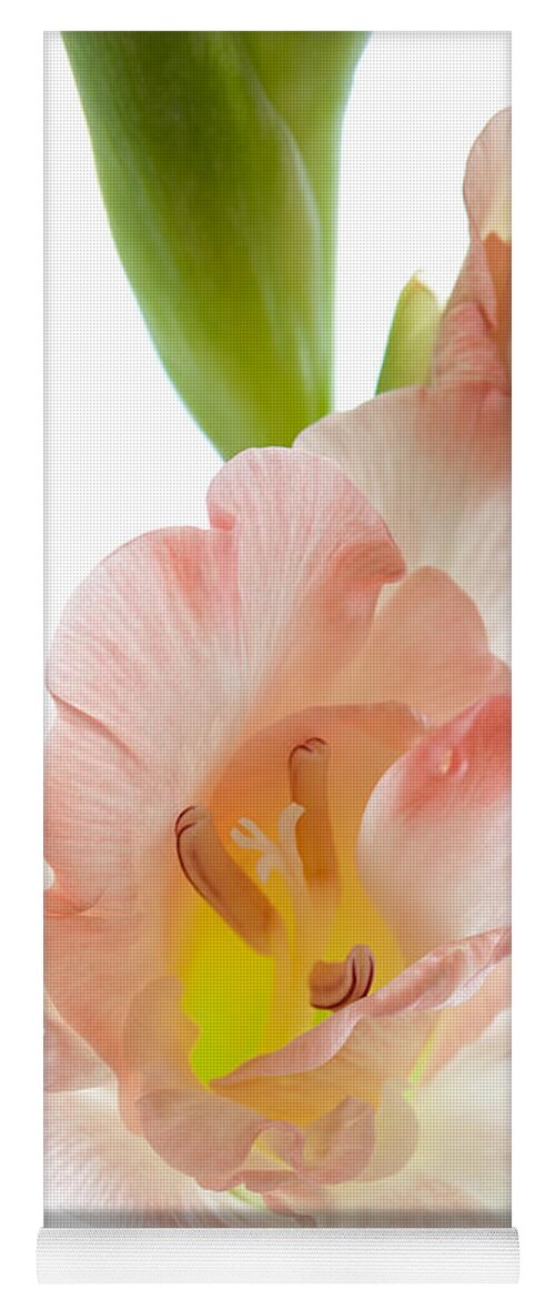 Gladiolus Yoga Mat featuring the photograph Peach Flushed Gladiolus by Ann Garrett