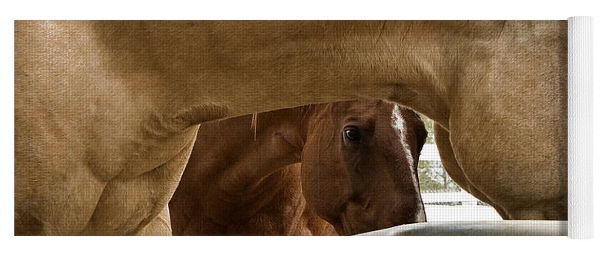 Pony Yoga Mat featuring the photograph Peeking Pony by Lorraine Devon Wilke