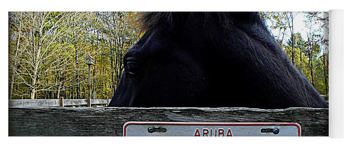 Friesian Horse Yoga Mat featuring the photograph Perfect Timing by Kim Galluzzo
