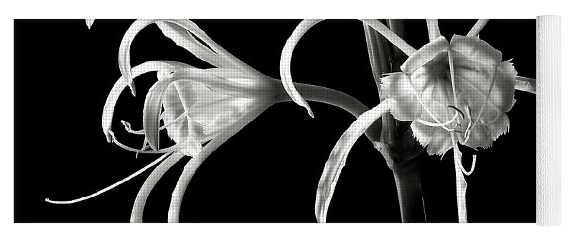 Flower Yoga Mat featuring the photograph Peruvian Daffodil in Black and White by Endre Balogh