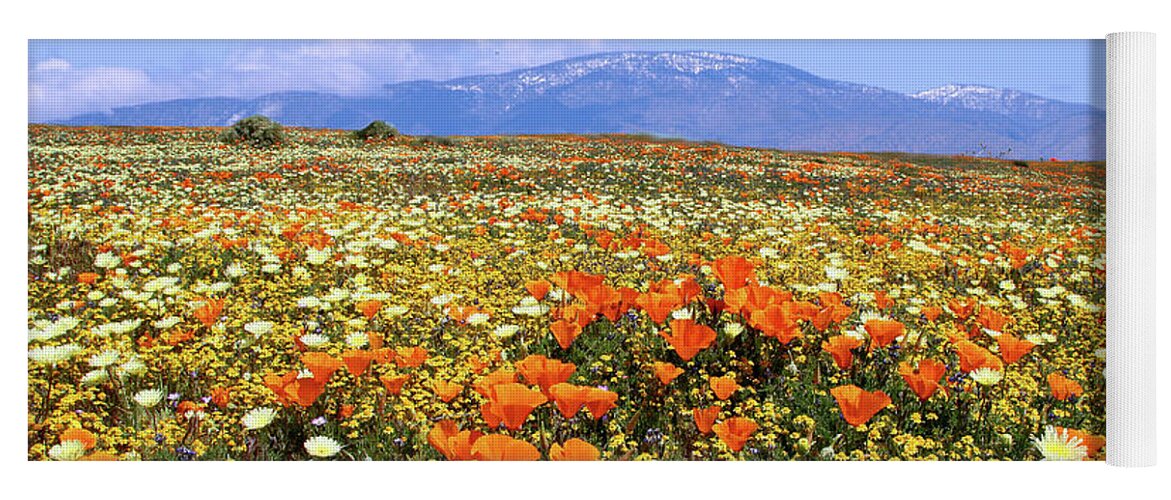 Antelope Valley Yoga Mat featuring the photograph Poppies over the Mountain by Peter Tellone