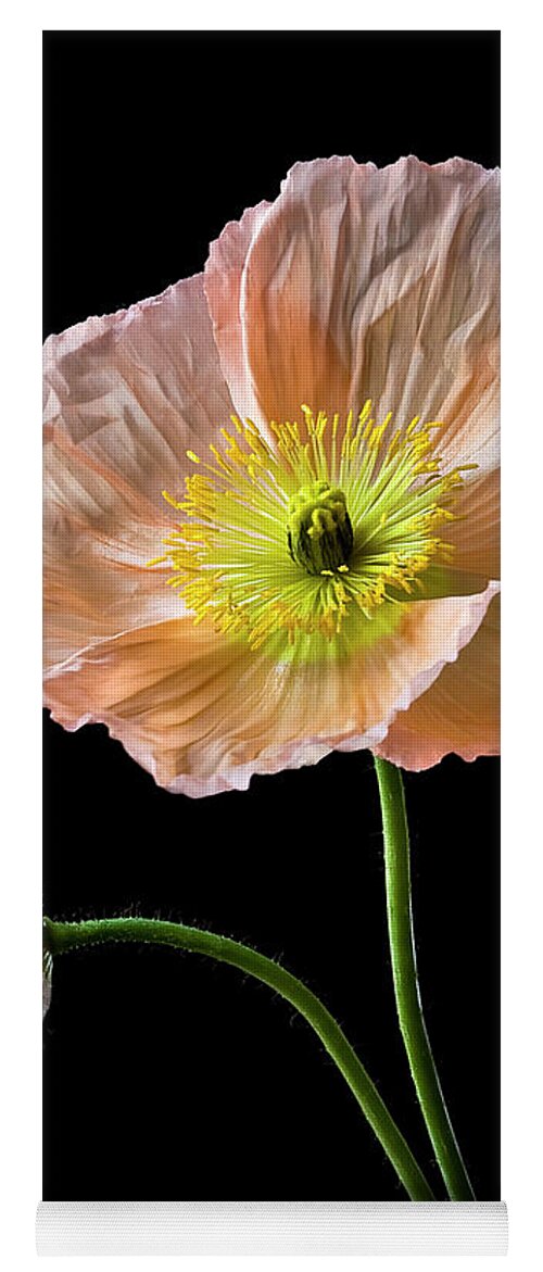 Flower Yoga Mat featuring the photograph Poppy by Endre Balogh