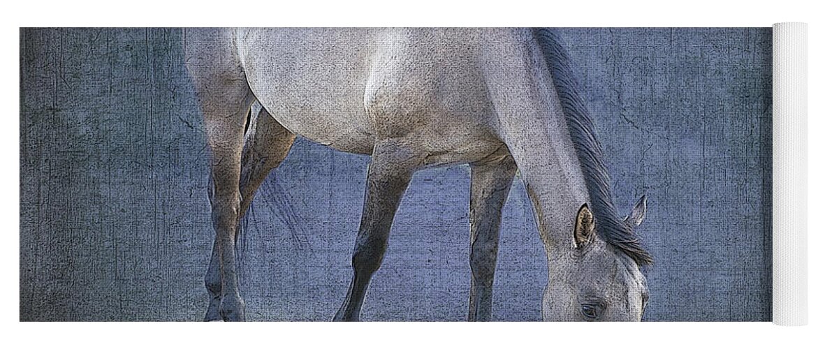 Horse Yoga Mat featuring the photograph Quarter Horse in Blue by Betty LaRue