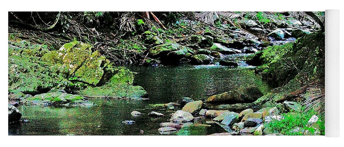 Queensland Yoga Mat featuring the photograph Queensland Rainforest by Blair Stuart