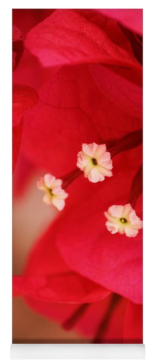 Bougenvilla Yoga Mat featuring the photograph Radish Red by Julie Lueders 