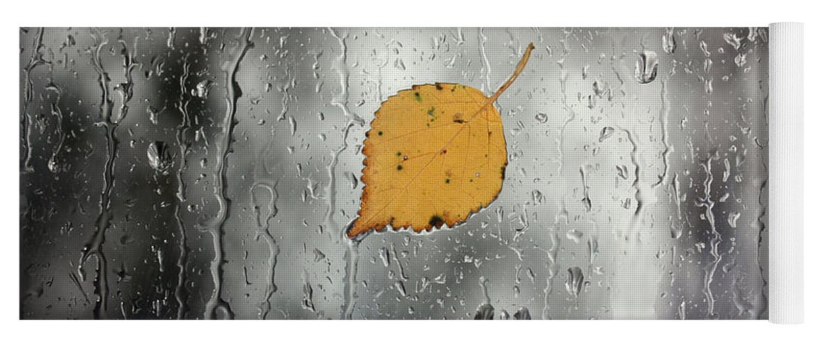 Leaf Yoga Mat featuring the photograph Rain on window with leaf by Simon Bratt