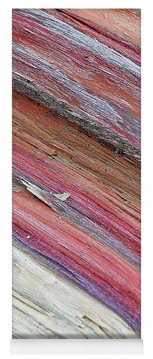 Nature Yoga Mat featuring the photograph Rainbow Wood by Lisa Phillips