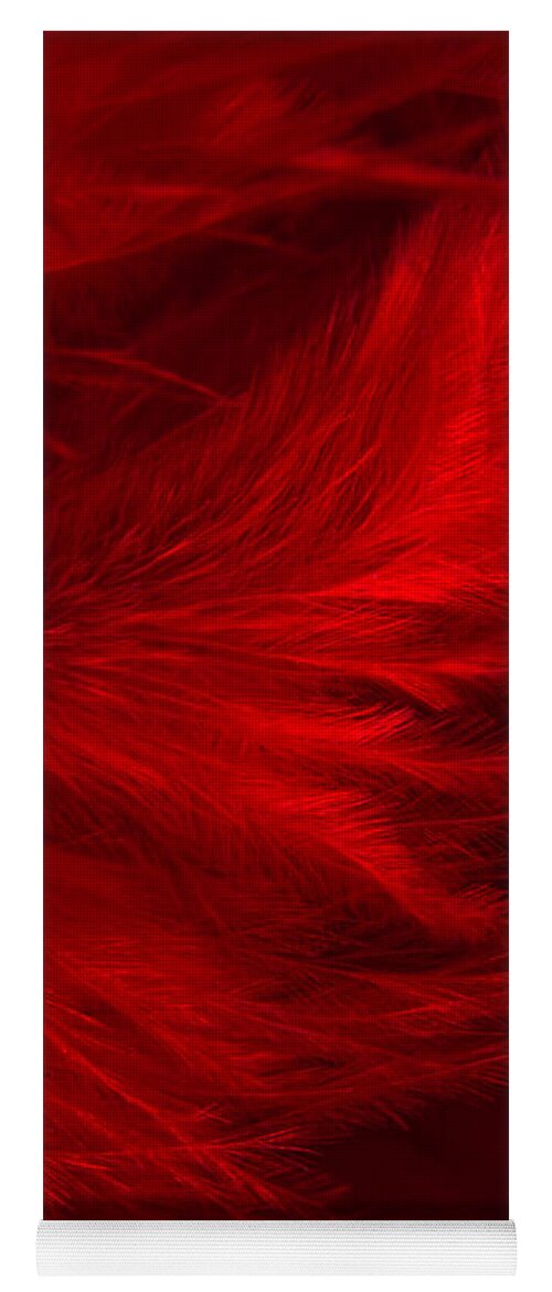 Feathers Yoga Mat featuring the photograph Red Feathers - 1 by Ann Garrett