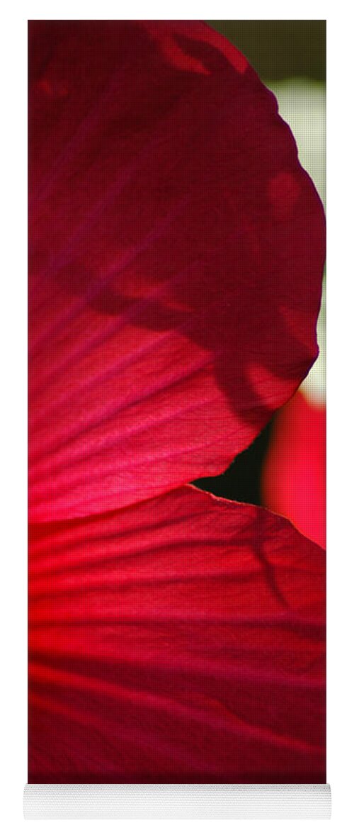Hibiscus Yoga Mat featuring the photograph Red Hibiscus by David Weeks