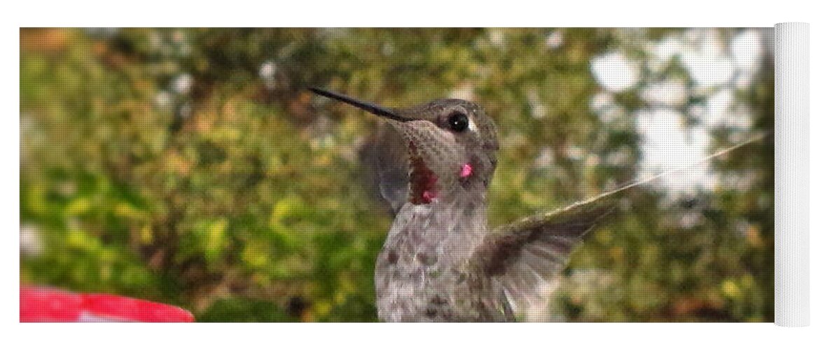 Hummer Yoga Mat featuring the photograph Ruby Throated Feeding by Joyce Dickens