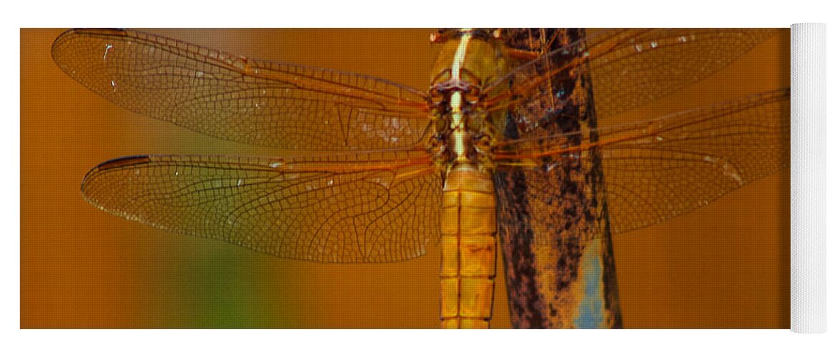 Dragonfly Yoga Mat featuring the photograph Rusted Hope by Toma Caul
