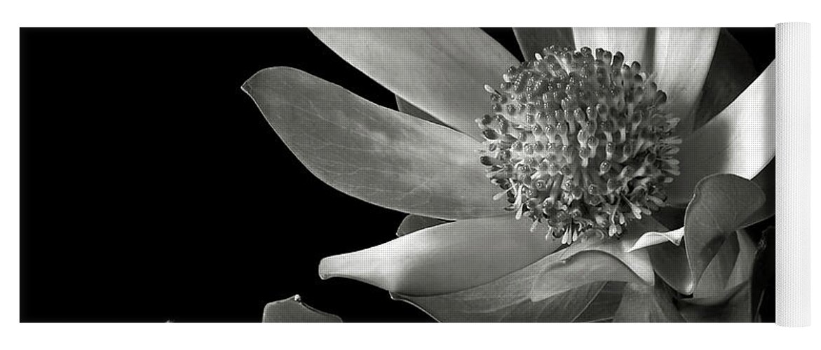 Flower Yoga Mat featuring the photograph Safari Sunset in Black and White by Endre Balogh
