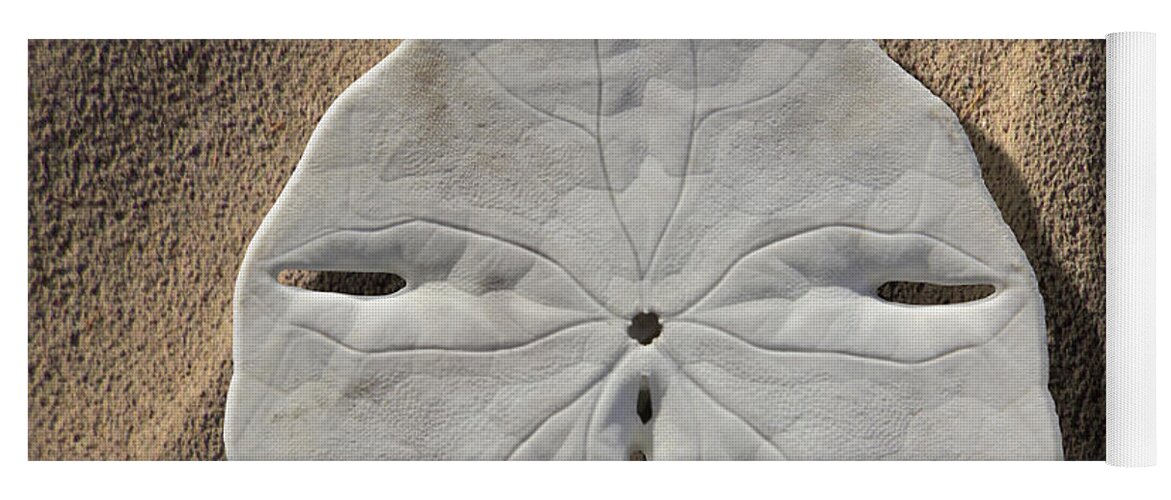 Sand Dollar Yoga Mat featuring the photograph Sand Dollar Tails by Mike McGlothlen