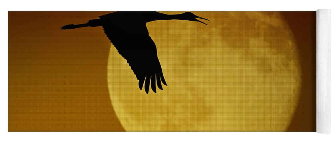 Sandhill Yoga Mat featuring the photograph Sandhill Crane Moon by Fred J Lord