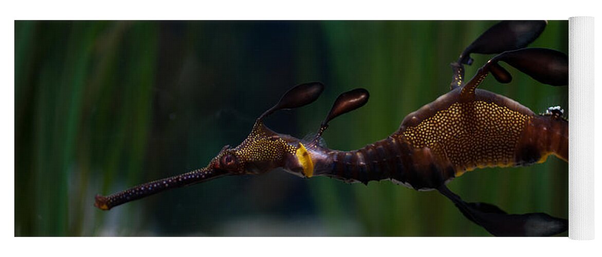 Aquarium Yoga Mat featuring the digital art Sea Dragons by Carol Ailles