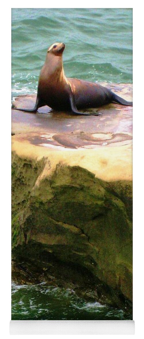 Seal Yoga Mat featuring the photograph Seal Rock by Sue Halstenberg