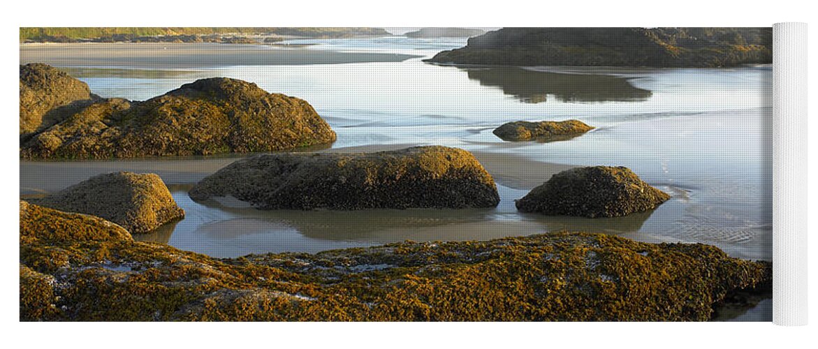00175330 Yoga Mat featuring the photograph Low Tide at Neptune Beach by Tim Fitzharris
