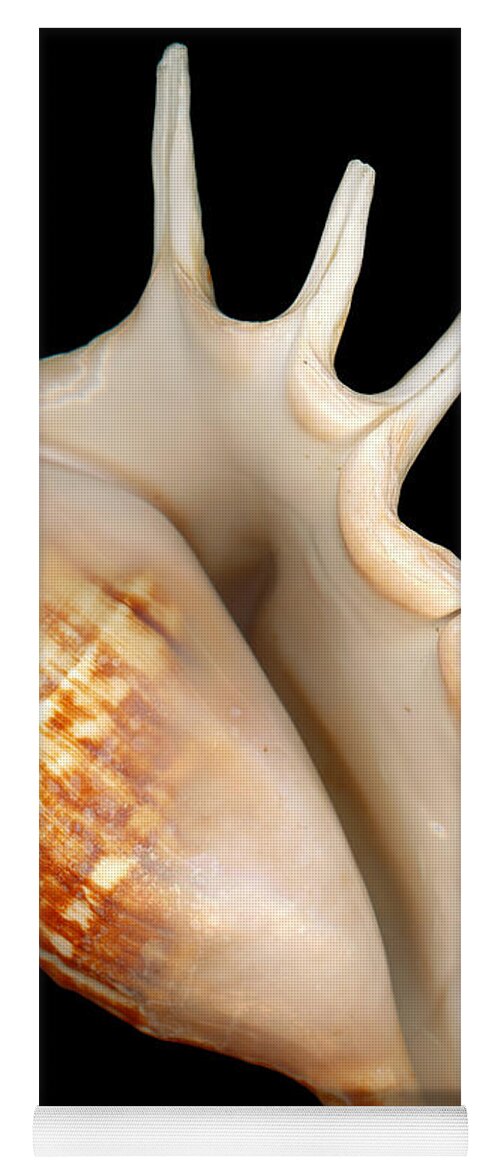 Conch Yoga Mat featuring the photograph Shell - Conchology - Conch by Mike Savad