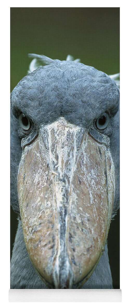 Mp Yoga Mat featuring the photograph Shoebill Balaeniceps Rex Portrait by Konrad Wothe