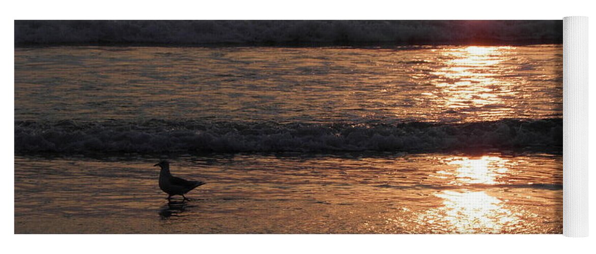 Sunrise Yoga Mat featuring the photograph Shoreline Reflections by Kim Galluzzo