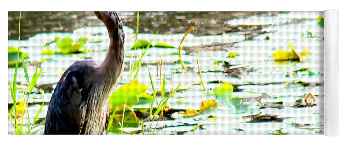 Blue Heron Yoga Mat featuring the photograph Silent Solitude by Kathy White