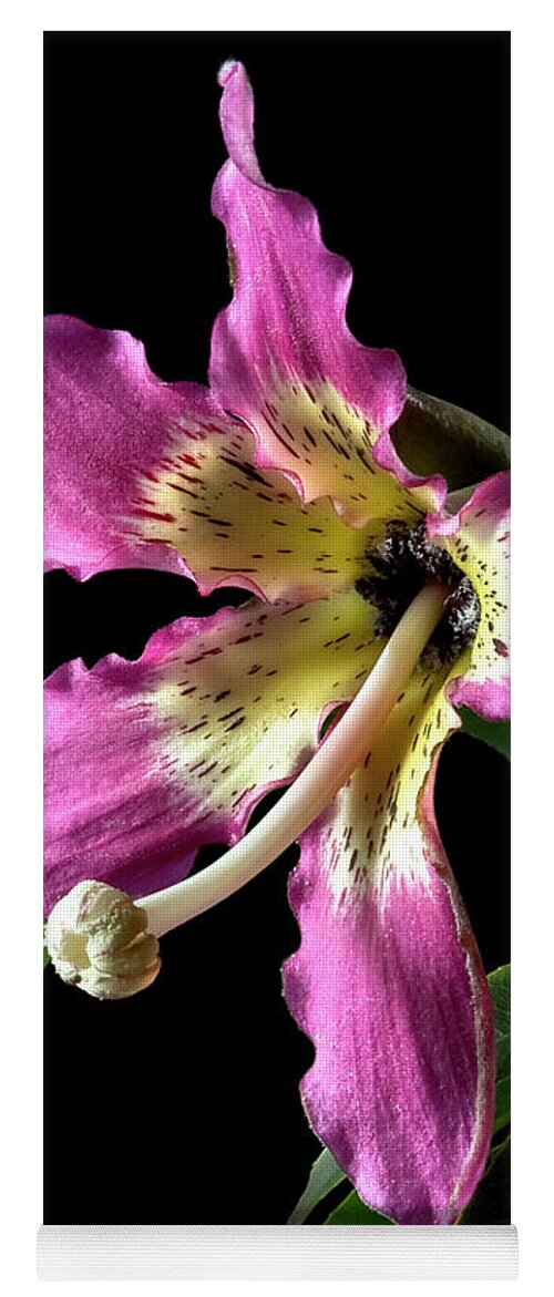 Flower Yoga Mat featuring the photograph Silk Flower by Endre Balogh