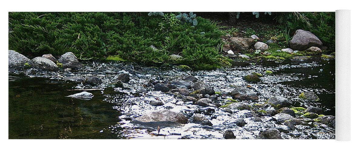 Outdoors Yoga Mat featuring the photograph Silver Stream by Susan Herber