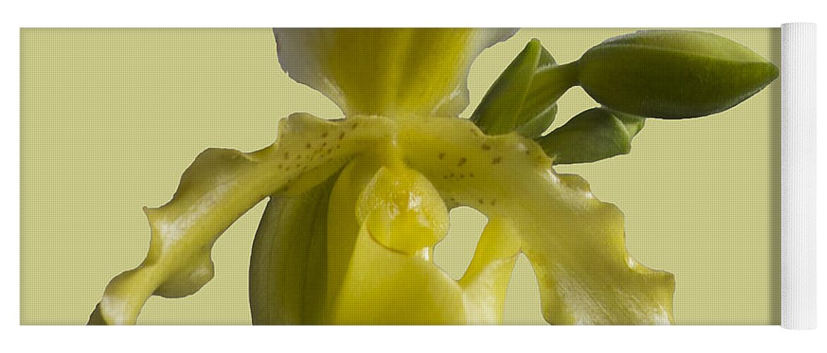 Orchid Yoga Mat featuring the photograph Slipper Orchid by Heiko Koehrer-Wagner