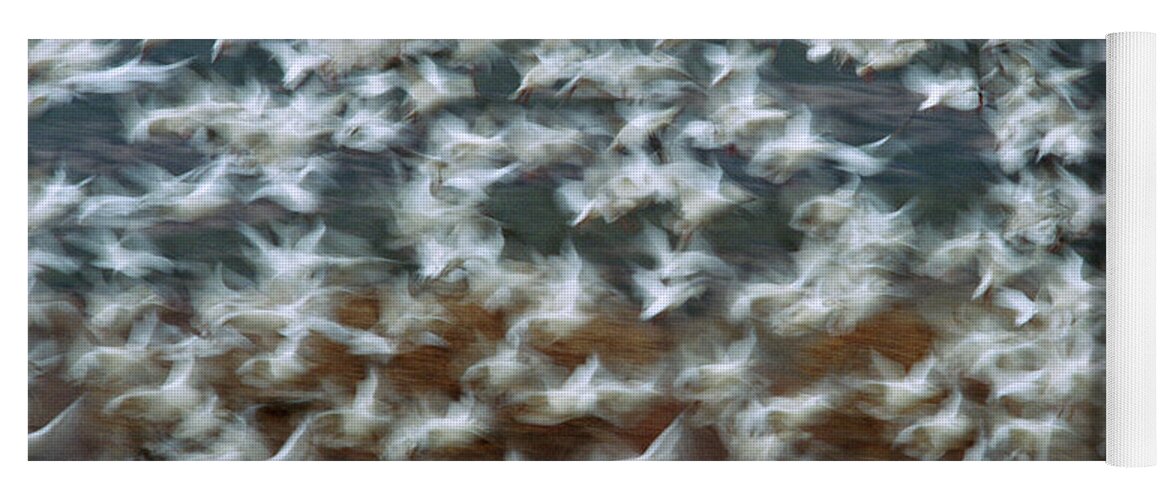 Mp Yoga Mat featuring the photograph Snow Goose Chen Caerulescens Flock by Tom Vezo