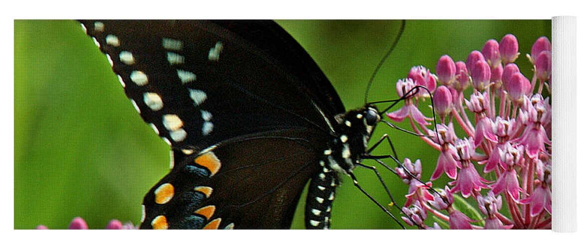 Nature Yoga Mat featuring the photograph Spicebush Swallowtail DIN039 by Gerry Gantt