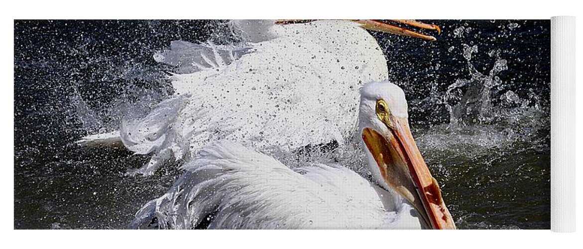 Pelicans Yoga Mat featuring the photograph Splish Splash by Elizabeth Winter