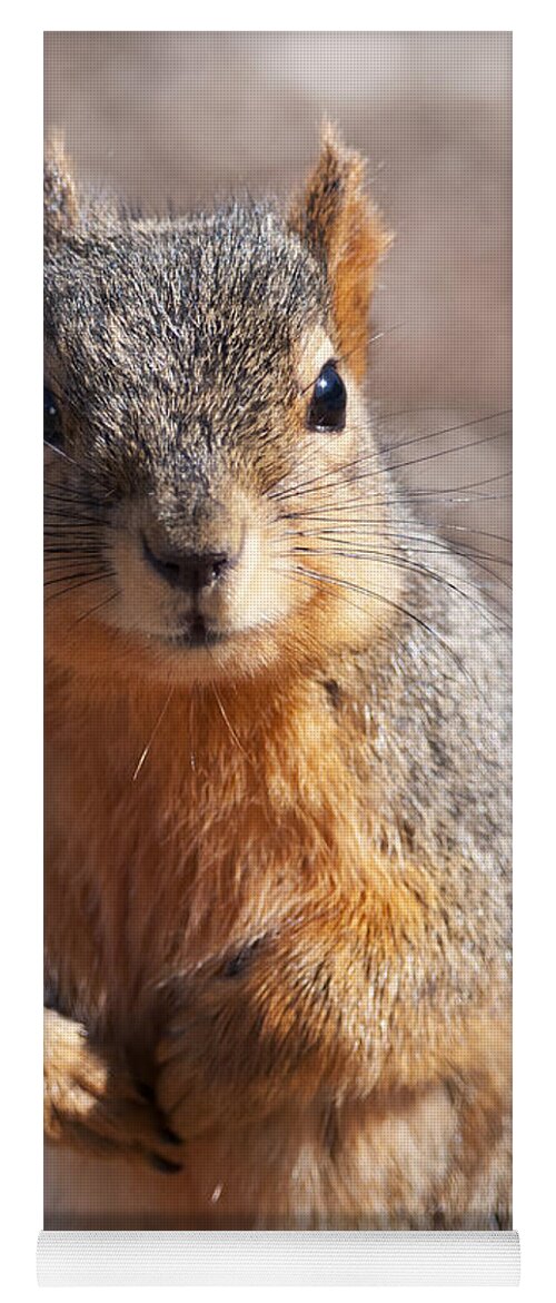 Squirrel Yoga Mat featuring the photograph Squirrel by Art Whitton